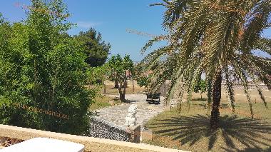 Holiday Apartment in Dnia (Alicante / Alacant) or holiday homes and vacation rentals