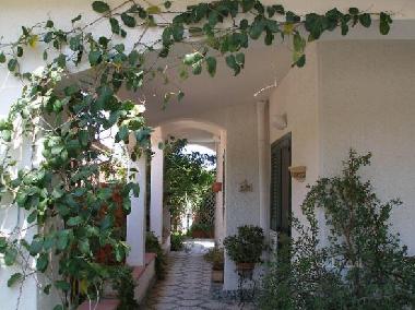 Villa in campofelice di roccella (Palermo) or holiday homes and vacation rentals