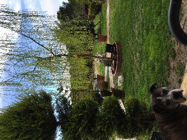 Villa in ANTALYA (Antalya) or holiday homes and vacation rentals