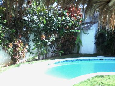 Holiday House in Las Terrenas (Samana) or holiday homes and vacation rentals