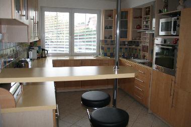 Holiday House in Prague Průhonice (Hlavni Mesto Praha) or holiday homes and vacation rentals
