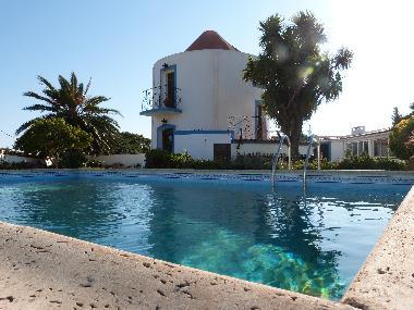 Time for a dip!