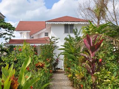 Holiday House in Las Terrenas (Samana) or holiday homes and vacation rentals
