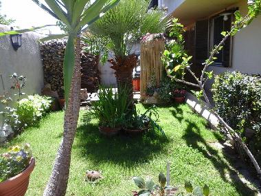 Holiday Apartment in orosei (Nuoro) or holiday homes and vacation rentals