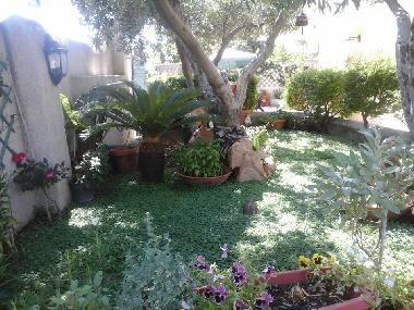 Holiday Apartment in orosei (Nuoro) or holiday homes and vacation rentals