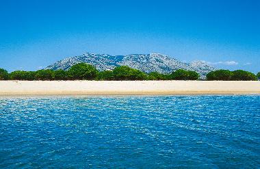 Holiday Apartment in orosei (Nuoro) or holiday homes and vacation rentals