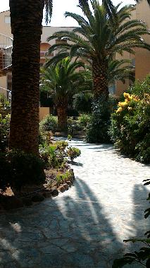 Holiday Apartment in Calvi (Haute-Corse) or holiday homes and vacation rentals