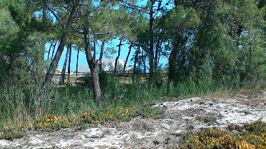 Holiday Apartment in Calvi (Haute-Corse) or holiday homes and vacation rentals