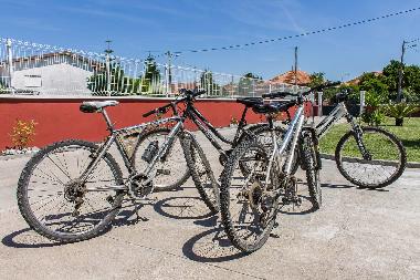 Holiday House in Labrengos-Coves (Centro (P)) or holiday homes and vacation rentals