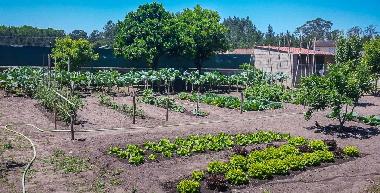 Holiday House in Labrengos-Coves (Centro (P)) or holiday homes and vacation rentals