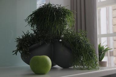 Holiday Apartment in Guimares (Norte) or holiday homes and vacation rentals