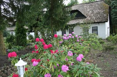 Holiday Apartment in Soltau (Lneburger Heide) or holiday homes and vacation rentals