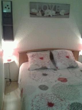 Holiday House in la palmyre (Charente-Maritime) or holiday homes and vacation rentals