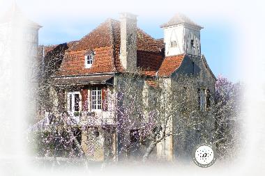 Holiday House in prudhomat (Lot) or holiday homes and vacation rentals