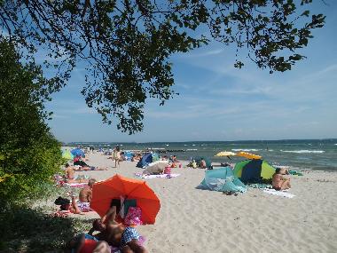 Holiday Apartment in Sierksdorf (Ostsee-Festland) or holiday homes and vacation rentals