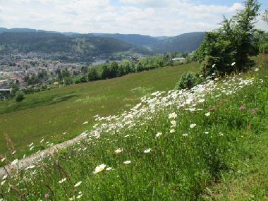 Holiday Apartment in Gerardmer (Vosges) or holiday homes and vacation rentals