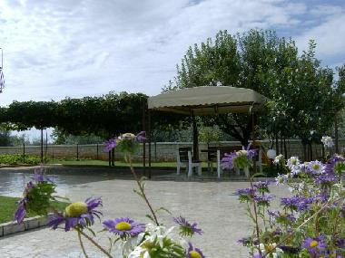 Holiday Apartment in Radovani (Istarska) or holiday homes and vacation rentals