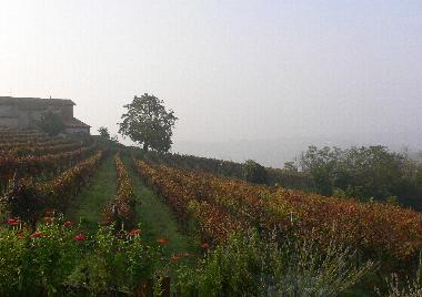 Holiday Apartment in Nizza Monferrato (Asti) or holiday homes and vacation rentals