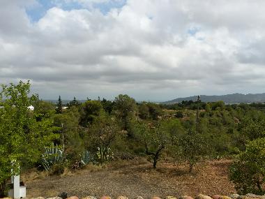 Villa in La Bisbal del Penedes (Tarragona) or holiday homes and vacation rentals