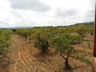 Villa in La Bisbal del Penedes (Tarragona) or holiday homes and vacation rentals