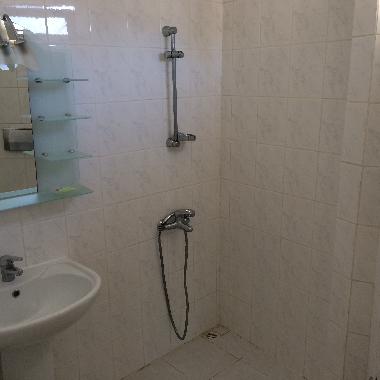 shower and toilet