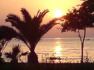 sunset view from patio