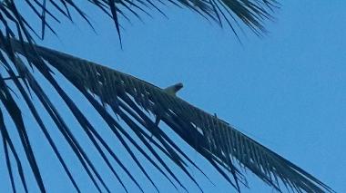 Holiday House in Anuradhapura (Anuradhapura) or holiday homes and vacation rentals