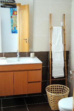 One of the two bathrooms, this one next to the living room