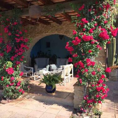 Holiday House in Saus Camallera Camallera (Girona) or holiday homes and vacation rentals