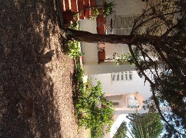 Holiday Apartment in Olbia (Olbia-Tempio) or holiday homes and vacation rentals