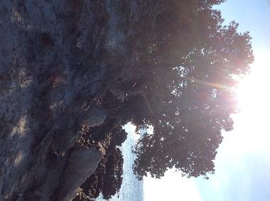 Holiday Apartment in Olbia (Olbia-Tempio) or holiday homes and vacation rentals