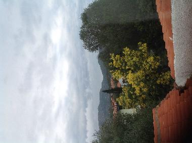 Holiday Apartment in Olbia (Olbia-Tempio) or holiday homes and vacation rentals