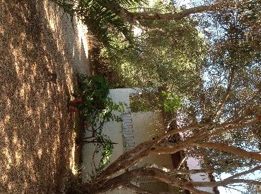 Holiday Apartment in Olbia (Olbia-Tempio) or holiday homes and vacation rentals