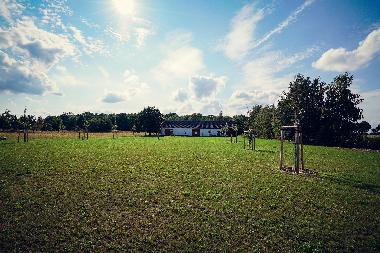 Holiday House in Mittenwalde / Ortsteil Brusendorf (Teltow-Flming) or holiday homes and vacation rentals