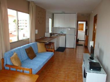 Holiday Apartment in PLAYA DEL INGLES (Gran Canaria) or holiday homes and vacation rentals