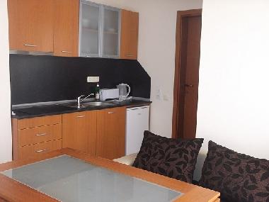 Holiday Apartment in Sunny Beach (Burgas) or holiday homes and vacation rentals