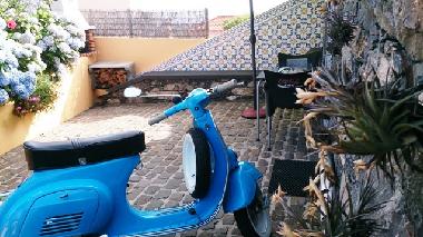 Holiday Apartment in Prazeres (Madeira) or holiday homes and vacation rentals