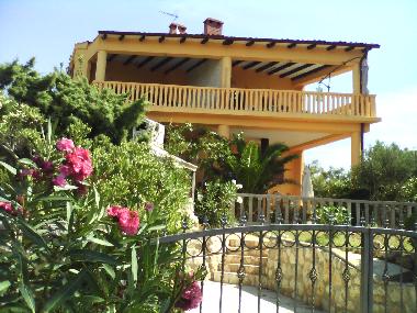 Holiday Apartment in Kolan (Zadarska) or holiday homes and vacation rentals