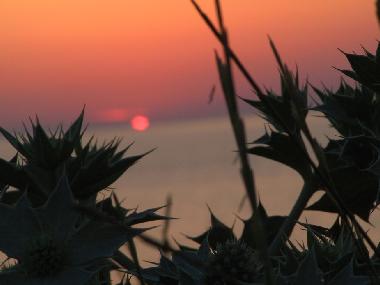 Holiday House in Cefalu (Palermo) or holiday homes and vacation rentals