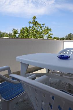 Large terrace overlooking the garden (west)