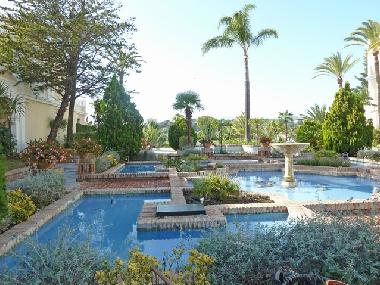 Holiday Apartment in Puerto Banus (Mlaga) or holiday homes and vacation rentals