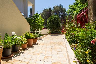 Holiday Apartment in Mali Losinj (Primorsko-Goranska) or holiday homes and vacation rentals
