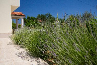 Holiday Apartment in Mali Losinj (Primorsko-Goranska) or holiday homes and vacation rentals