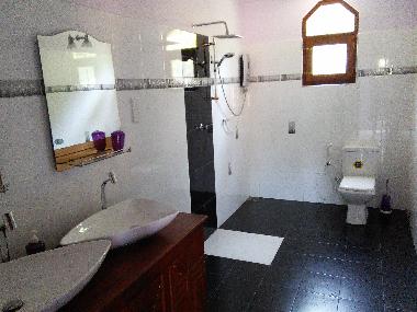 bathroom PEACOCK
