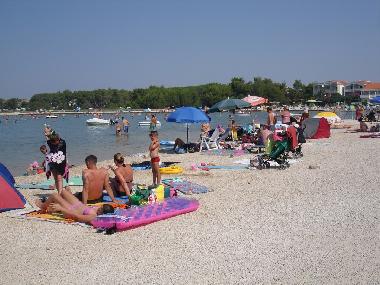 Holiday House in Vir (Zadarska) or holiday homes and vacation rentals