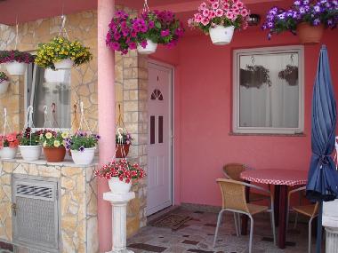 Holiday House in Vir (Zadarska) or holiday homes and vacation rentals