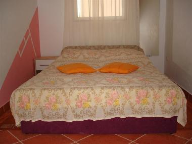 Holiday House in Vir (Zadarska) or holiday homes and vacation rentals