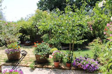 Holiday House in amelia (Terni) or holiday homes and vacation rentals