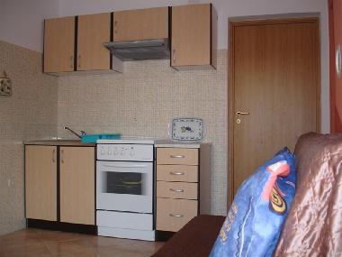 Holiday House in Vir (Zadarska) or holiday homes and vacation rentals