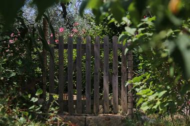 Holiday House in amelia (Terni) or holiday homes and vacation rentals